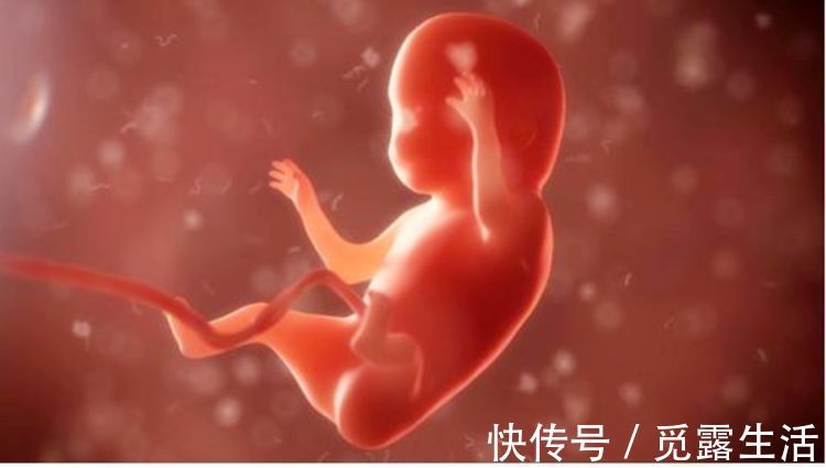 孕期|在孕期,胎动频繁的宝宝是不是性格很调皮?性格娘胎里就已经定了