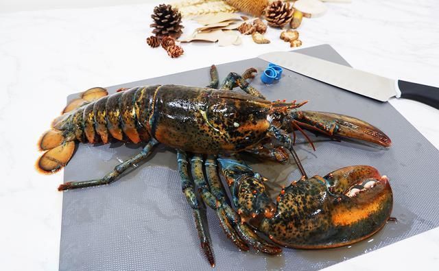 米其林|米其林大厨戈登拉姆齐，完美无痛拆龙虾肉，只需7步骤轻松上手