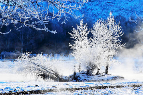 云南|【图说新疆】新疆青河：琼英四野点芳华