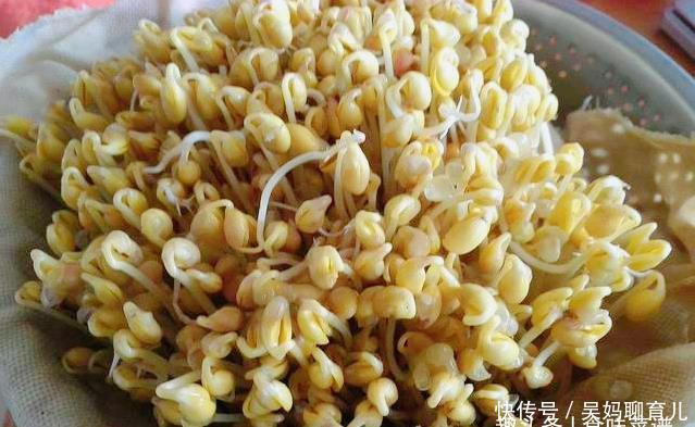 在家|教你在家发豆芽,不用土壤不用肥料,3天就能吃,脆嫩营养又卫生
