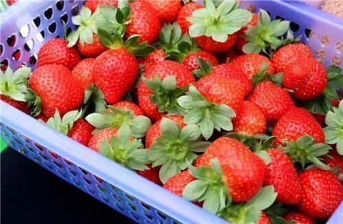 绘画|一颗咬过半截的“草莓”卖20万,放大10倍后再看,才发现确实值啊!