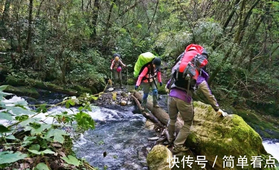 毛发|神农架深处：为什么会被列为禁区？有一个神秘现象，至今难以解释