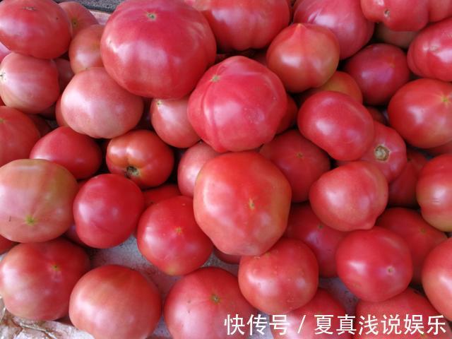 沙瓤|买西红柿就要挑“母”的，沙甜又多汁，学会这4招，一挑一个准