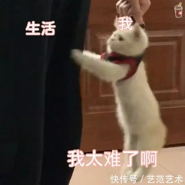 交互设计|美国交互设计有哪些天花板院校?!