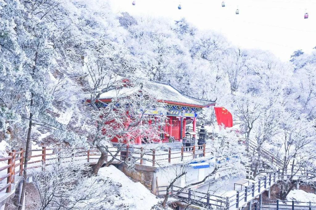 误入|点赞破百万的世界级雪景！雾凇云海，仿佛“误入天宫”！