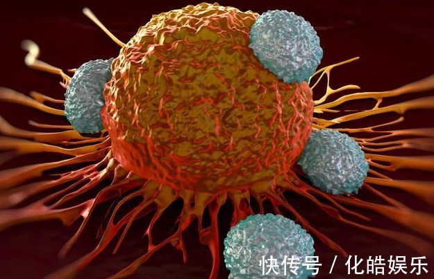 mr1|抗癌“神药”面世可杀死多种癌细胞，还不脱发！将进行人体实验