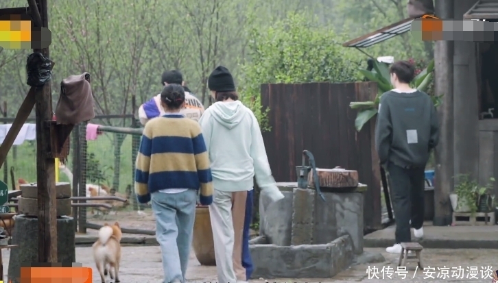 向往5 《向往5》下期：张艺兴去鸡窝掏鸡蛋，“责怪”师父把拖拉机搞坏