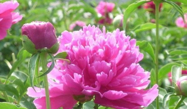 时辰|出生时辰暴露了你的财运,谁是天生财神命,12个时辰12种不同命