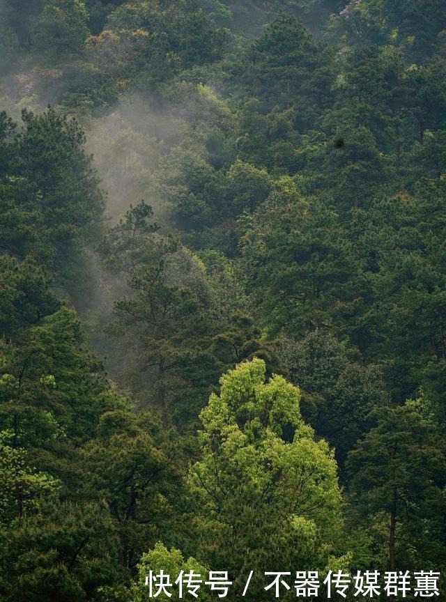 江南第一名山，山清水秀，被誉为富春小九寨