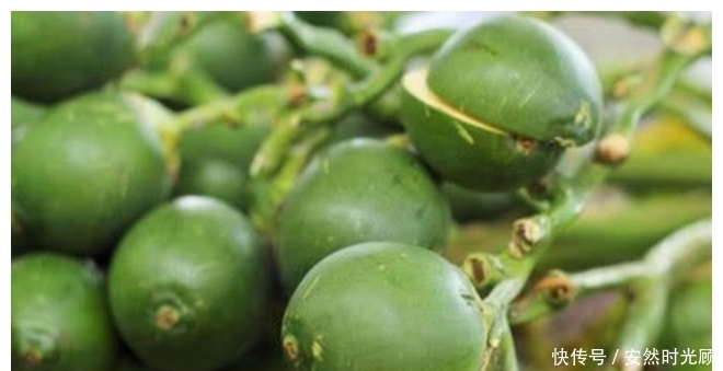 它被世衛(wèi)列為“一級(jí)致癌物”,不少人拿它當(dāng)零食吃,趕緊住嘴