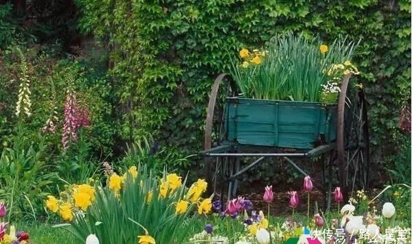 16个花园庭院设计技巧,掌握了还怕设计不出好看的花园吗?