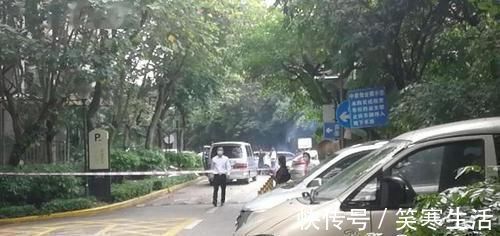 对手机|一部手机毁掉12岁少年手机给孩子带来快乐,但也在悄悄毁了他