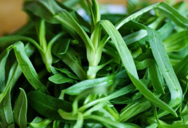 面条草|此物被称面条菜,全身都是宝,止咳消肿降血糖,为健康值得了解