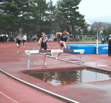 |搞笑GIF趣图:谁挖的坑,站出来,咱们聊聊