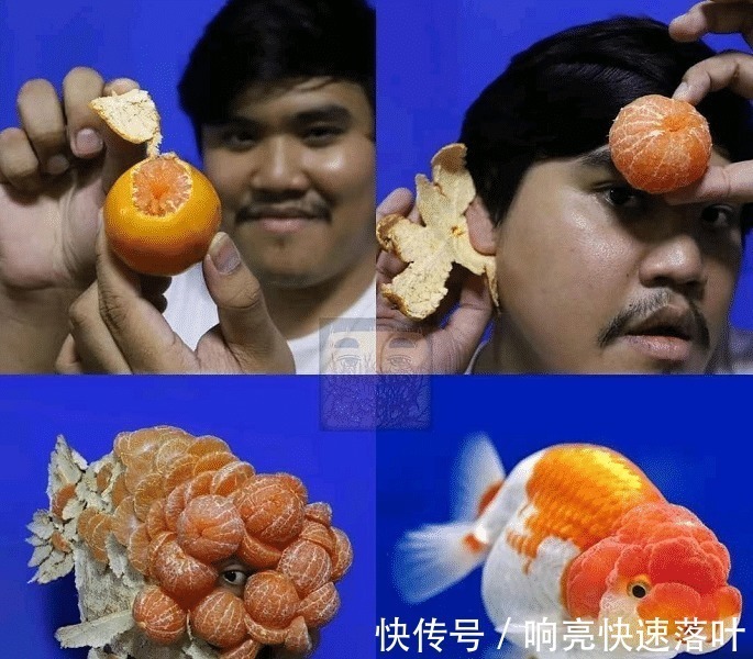 脑洞|泰国小哥再次奉上腋毛cos作品,放过卡卡西之后,对圣诞树下手