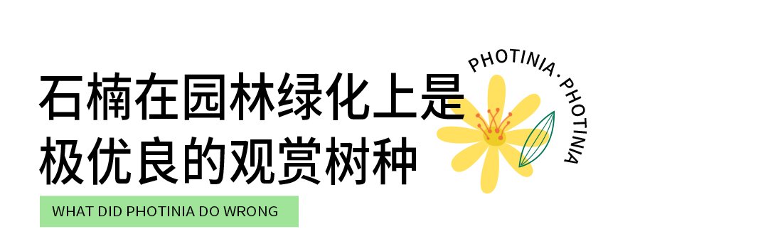 天呐！十堰街头飘出“不可描述”的气味，竟然是......