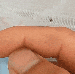 |搞笑GIF:还别说,你扮演的真像,我差点都信以为真了!