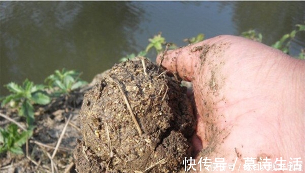 蚯蚓|钓鱼技巧：民间野钓打窝“土方法”，方法是真土，效果是真的好！