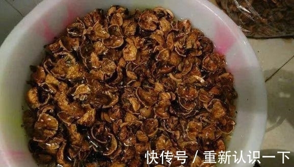 花生壳|秋季给兰花“喂点花生壳”，闷熟发酵，营养高，兰花开花爆满盆