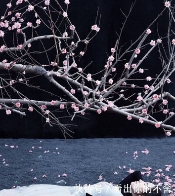 强推!古言甜宠小说!女扮男装!