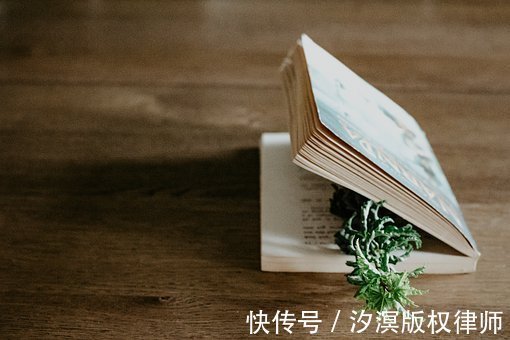 第三人#跳槽后创作的小说作品,著作权为何归属于原公司?
