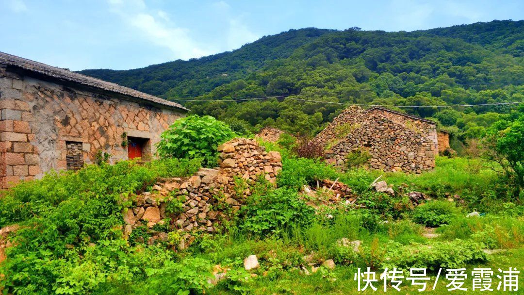 石头|惊艳！霞浦这么美的石头古村落，有时间一定要去看看