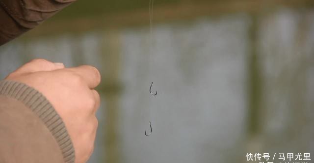 子线长度有多讲究？相差10厘米钓获可能少一半，看老钓手的分享