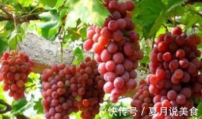 桂圆|睡前饮食很重要,水果要吃对!原来它们适合在晚上吃!