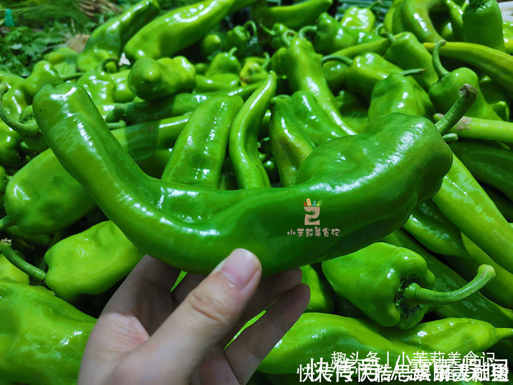 螺丝椒|买青椒时，直的辣还是弯的辣老菜农辣不辣看“这里”准没错