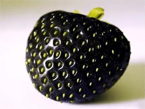 8种黑色水果,吃过2种以上才是土豪吃货图7是西瓜界的法拉利