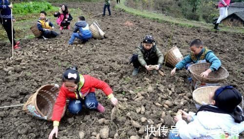 更加热情|双胞胎兄弟老大跟城里妈妈,老二跟乡下奶奶,2年后差距太明显