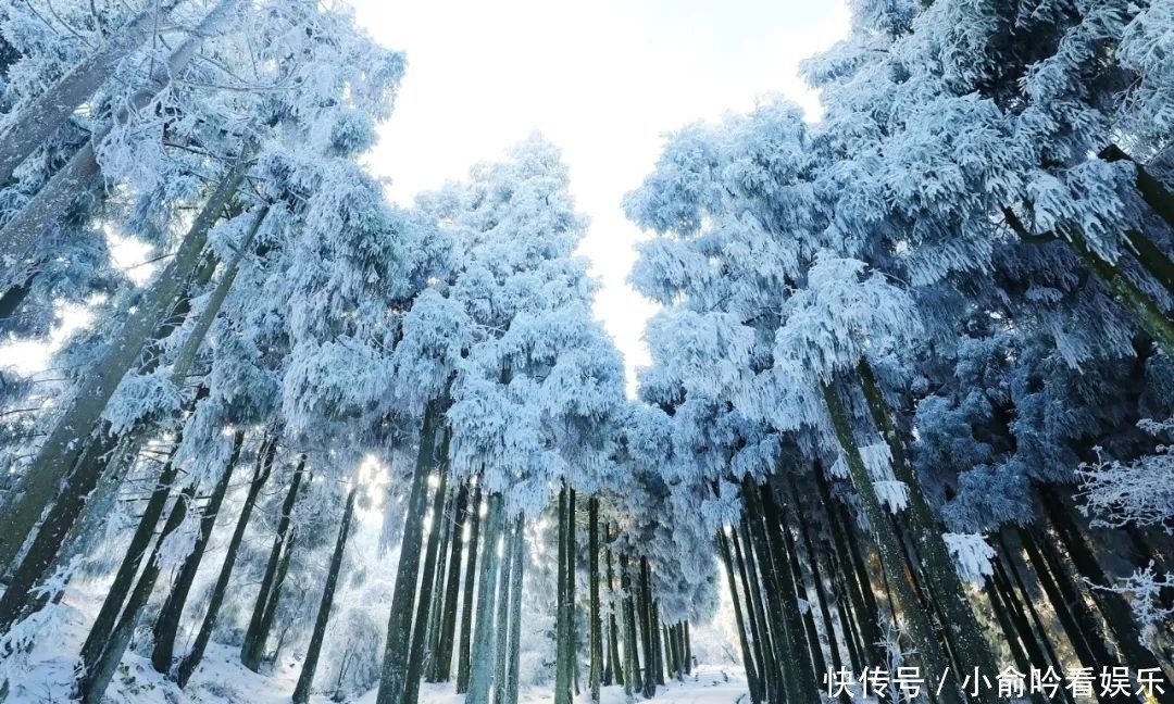 雪景|遂昌大美雪景图！让你一次看个够