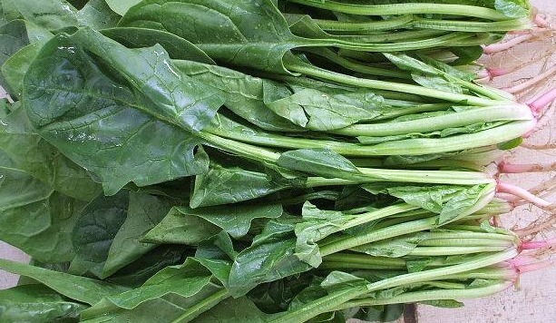 酸碱平衡|这4种蔬菜对肝脏有好处,具有清热养肝,增强身体抵抗力!