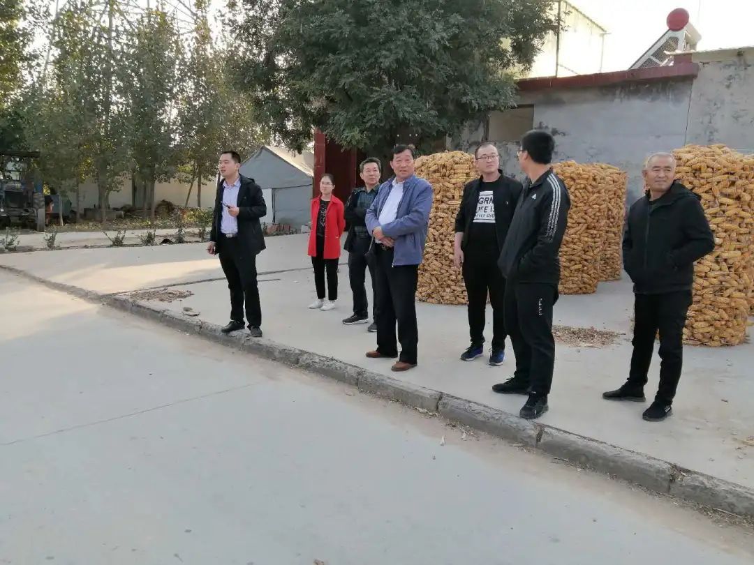 台子|台子镇：周末不休，全民动手提升城乡颜值