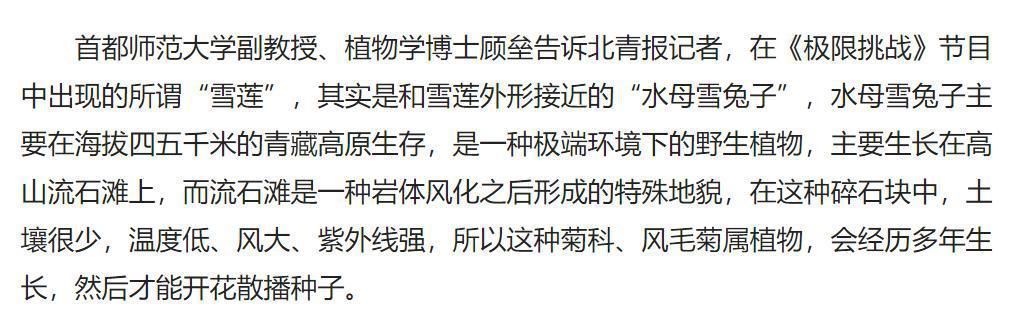 嘉賓|出了事就甩鍋嘉賓,難怪從一流節目做成了三流