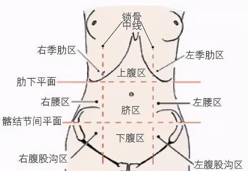  地图|腹痛？送您一张“腹部地图”