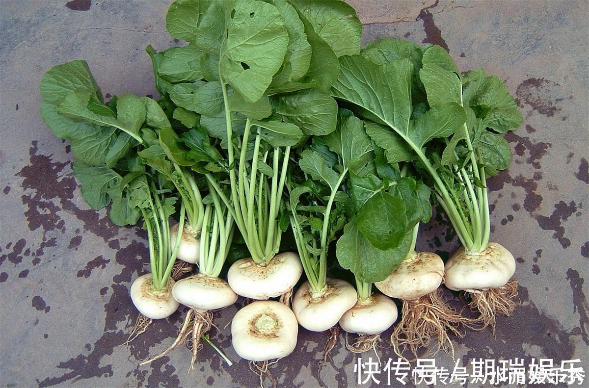 名蔬|种植超2000年，常被误认成萝卜，如今成我国出口名蔬，常做成腌菜
