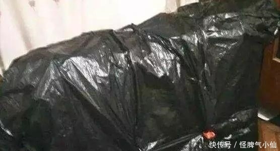 塑料袋太多，很烦人？别烦，用它来养花，养1盆旺1盆，真的很好