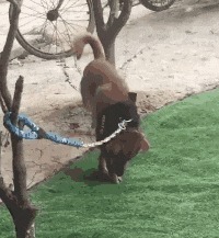 |搞笑GIF趣图:不要问我为什么,以后找女朋友一定要看素颜