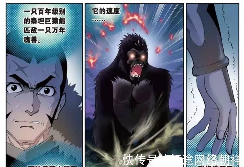 星斗大森林|斗罗大陆星斗大森林中最强的四只魂兽! 最后一个差点击杀唐三!