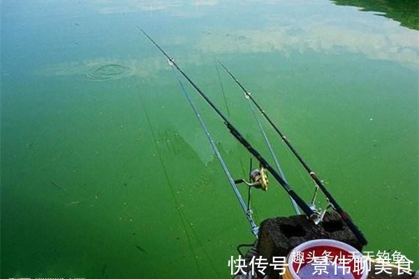 自然水域野钓大鱼，用了这些招数，效果出奇的好，大鱼连竿上
