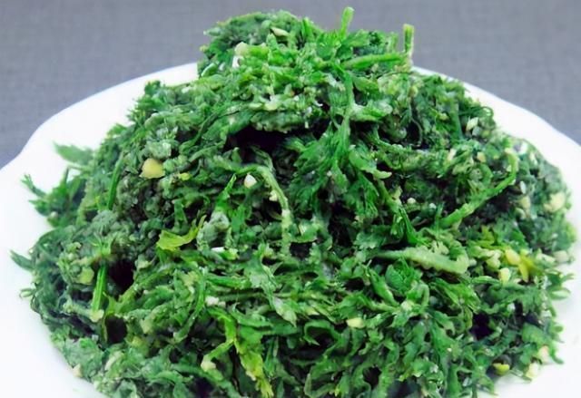 常被忽略的菜叶子,1块钱买一把,蒸着吃最香,不懂吃可惜了