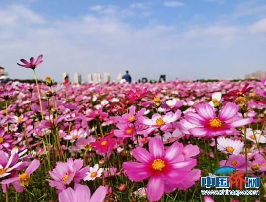 海南侨乡琼海春节假期受游客青睐 旅游总收入2.78亿元