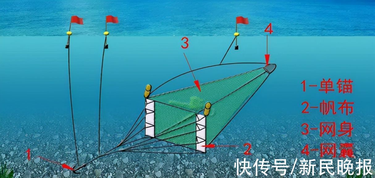 渔具|一觉醒来，除了钓鱼竿，几乎所有渔具都被禁了