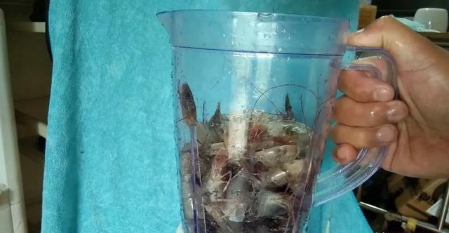 钓鱼小技巧:开完虾饵虾壳不要扔,2个方法将其变废为宝
