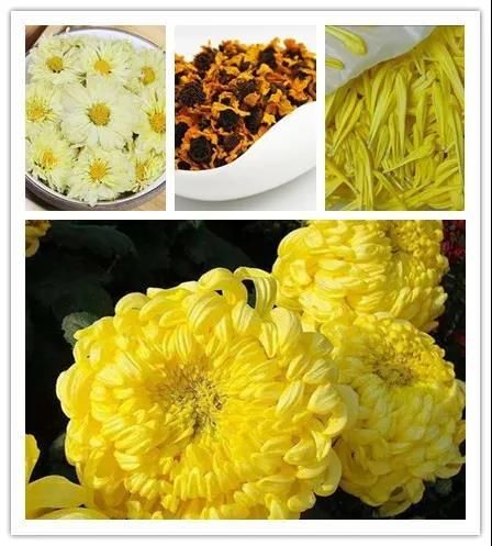 火锅|赏菊还能食菊!菊花火锅、雪菊梨盅、花香木耳青瓜……