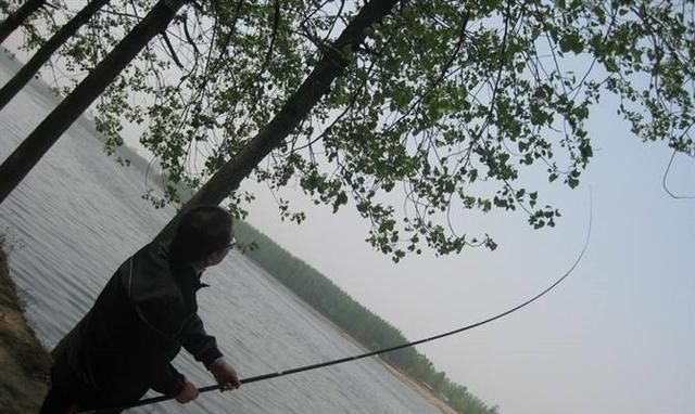 挂草|鱼钩挂底、挂树、挂衣服,别着急,这样处理,很快就能搞定