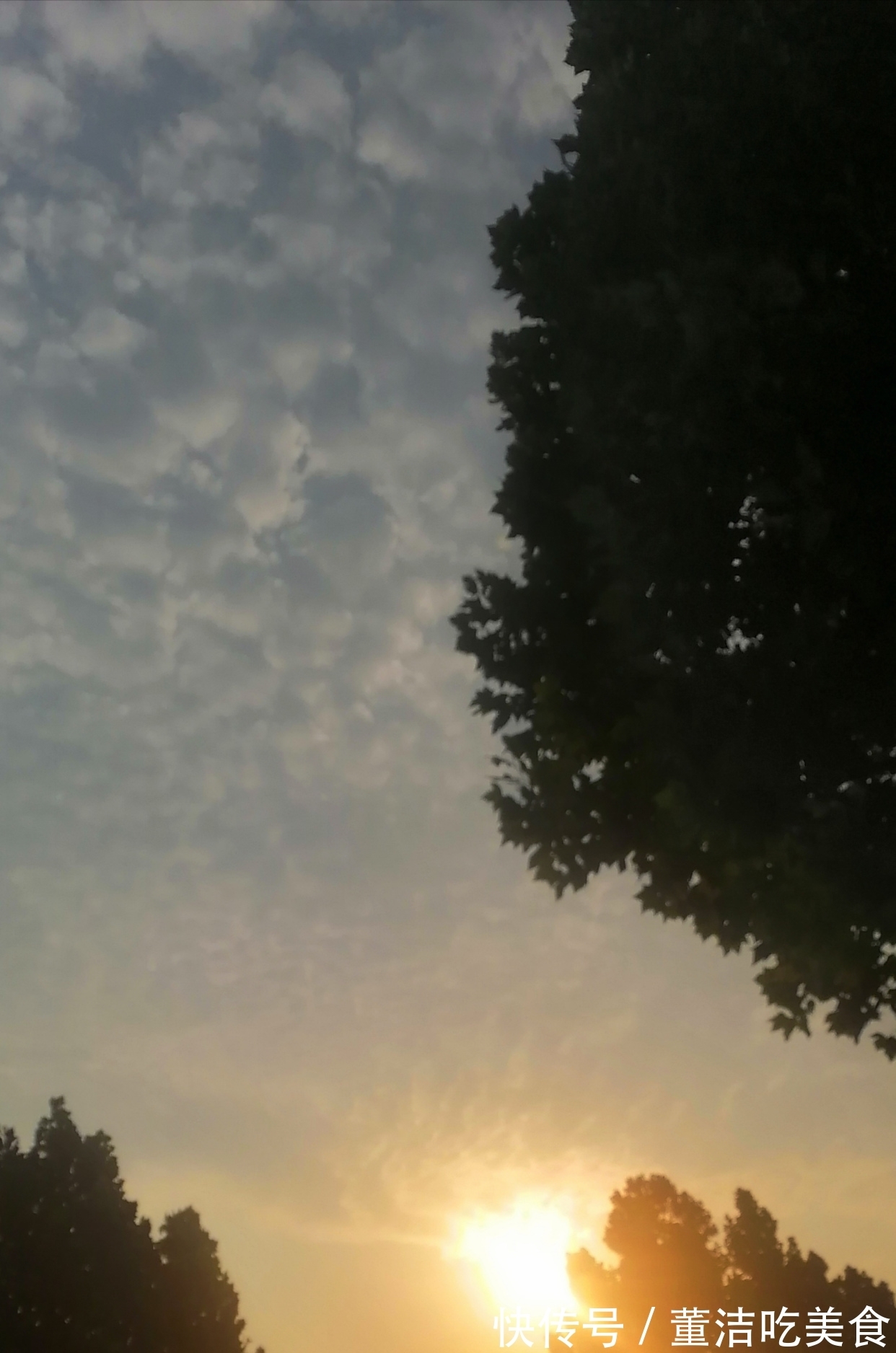 中华诗词|七言顶真诗(原创首发)又念启华真英雄