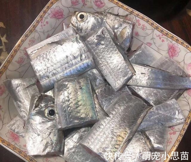 鱼郎|老伯夜晚海钓归来,一点都没掉漆的带鱼,你们肯定没见过吧?