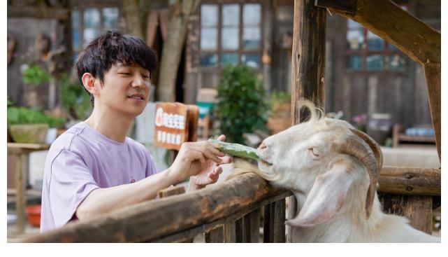 谈《向往的生活5》：能成为一部好综艺，离不开节目组的良苦用心